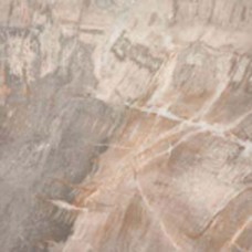 Плитка 50*50 Fossil STONE BEIGE NAT 