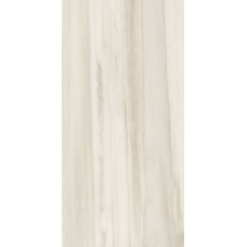 WHITE LION 30x60
