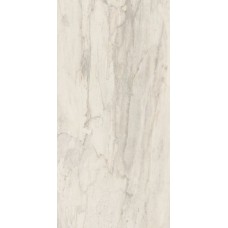 WHITE LION 30x60