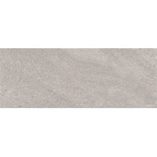 Reims Gris 31.5х100