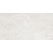 Плитка 0113346	ARAGONA NAT.RET 60X120