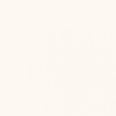 Vivido Bianco 333х333