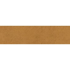 Aquarius Brown фасадная плитка 24,5x6,58x0,74